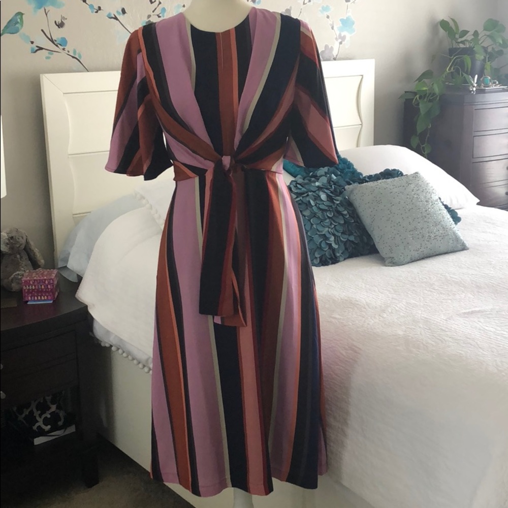 Versatile Fall Or Spring Dress - image 2